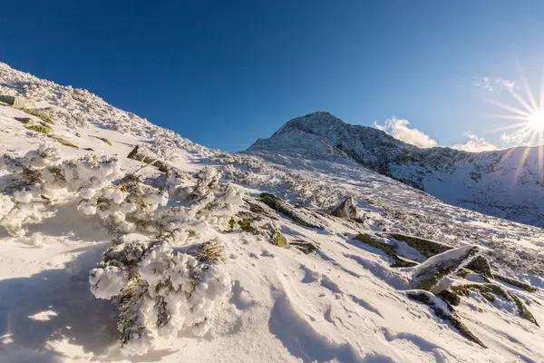 Hermoso paisaje de invierno en las montañas, en un día soleado brillante — Foto de Stock