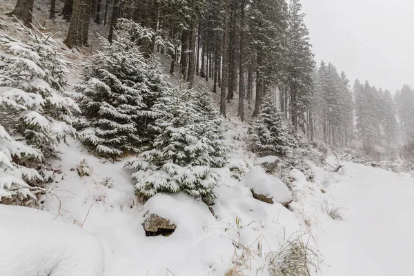 Zimowej scenerii z blizzard ciężki śnieg i stary drewniany domek w lesie, w grudniu — Zdjęcie stockowe