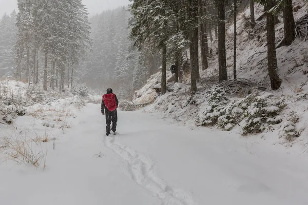 Şiddetli kar yağışı blizzard ve Aralık ayında ormandaki eski ahşap evi ile kış manzarası