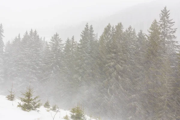 Zimowej scenerii z blizzard ciężki śnieg i stary drewniany domek w lesie, w grudniu — Zdjęcie stockowe