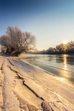 Güzel kış manzarası kapsamındaki frost, donmuş nehir boyunca ağaçlar ile