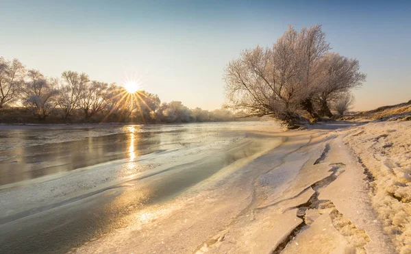 Vackra vinter landskap med träd som omfattas av frost, längs frusna floden — Stockfoto