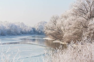 Güzel kış manzarası kapsamındaki frost, donmuş nehir ve fırtına bulutları ağaçları ile