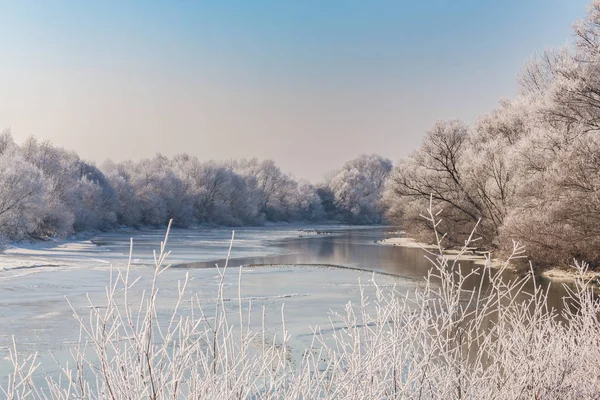 Güzel kış manzarası kapsamındaki frost, donmuş nehir ve fırtına bulutları ağaçları ile