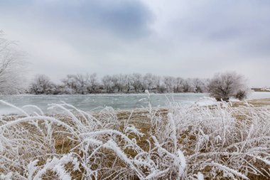 Güzel kış manzarası kapsamındaki frost, donmuş nehir ve fırtına bulutları ağaçları ile