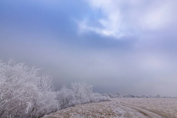 Hermoso paisaje de invierno con árboles cubiertos de heladas, a lo largo del río congelado y nubes de tormenta — Foto de Stock