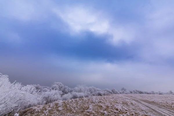 Belo cenário de inverno com árvores cobertas por geada, ao longo do rio congelado e nuvens de tempestade — Fotografia de Stock
