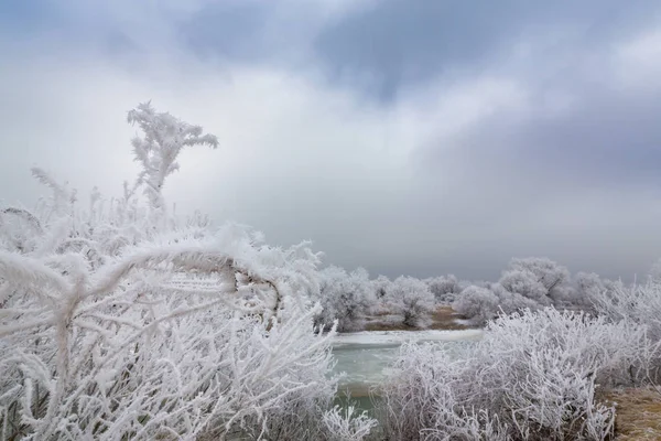 Vackra vinter landskap med träd som omfattas av frost, längs frusna floden, och molnen — Stockfoto