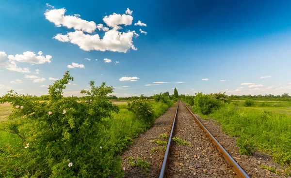 Ferrocarril escénico en zonas rurales remotas en primavera, en Europa del Este — Foto de Stock