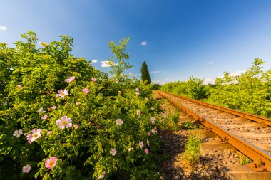 Doğal manzaralı, eski, demiryolu uzak bölgede kırsal Bahar, Doğu Avrupa'da