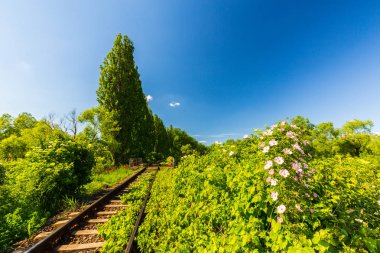 Doğal manzaralı, eski, demiryolu uzak bölgede kırsal Bahar, Doğu Avrupa'da