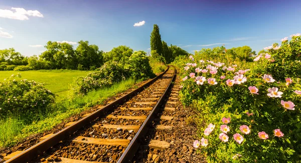 Scenico, vecchio, ferrovia nella remota zona rurale in primavera, in Europa orientale — Foto Stock