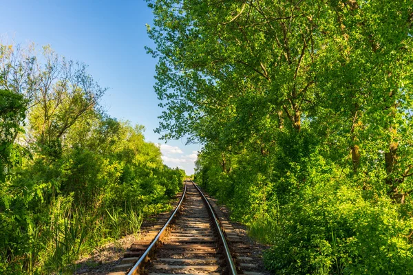 Ferrocarril escénico, antiguo, en zonas rurales remotas en primavera, en Europa del Este — Foto de Stock