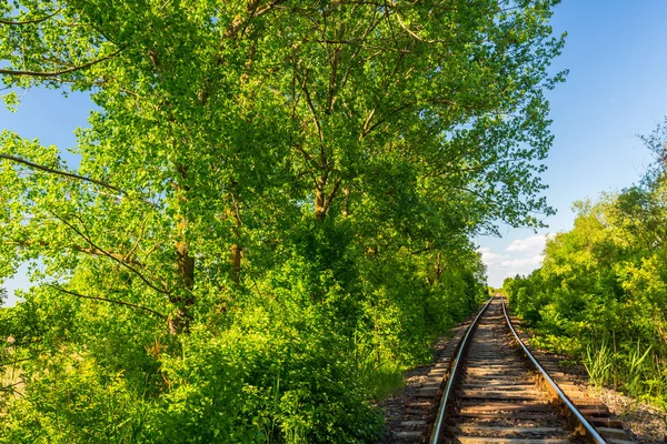 Живописная старая железная дорога в отдаленной сельской местности весной в Восточной Европе — стоковое фото