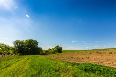 Bahar, sonsuz ufuk, reed bitkiler doğal Göl boyunca parlak renkler ile soyut kırsal manzara