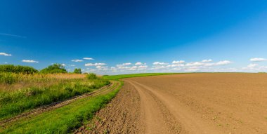 Bahar, sonsuz ufuk, reed bitkiler doğal Göl boyunca parlak renkler ile soyut kırsal manzara