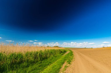 Bahar, sonsuz ufuk, reed bitkiler doğal Göl boyunca parlak renkler ile soyut kırsal manzara