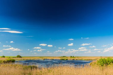 Bahar, sonsuz ufuk, reed bitkiler doğal Göl boyunca parlak renkler ile soyut kırsal manzara