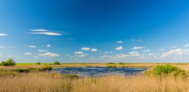 Bahar, sonsuz ufuk, reed bitkiler doğal Göl boyunca parlak renkler ile soyut kırsal manzara