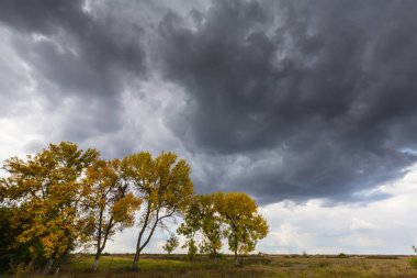 Sonbahar yaprakları ve kırsal alanda uğursuz fırtına bulutları
