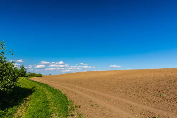 Bahar, sonsuz ufuk, reed bitkiler doğal Göl boyunca parlak renkler ile soyut kırsal manzara