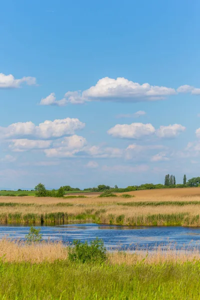 Bahar, sonsuz ufuk, reed bitkiler doğal Göl boyunca parlak renkler ile soyut kırsal manzara