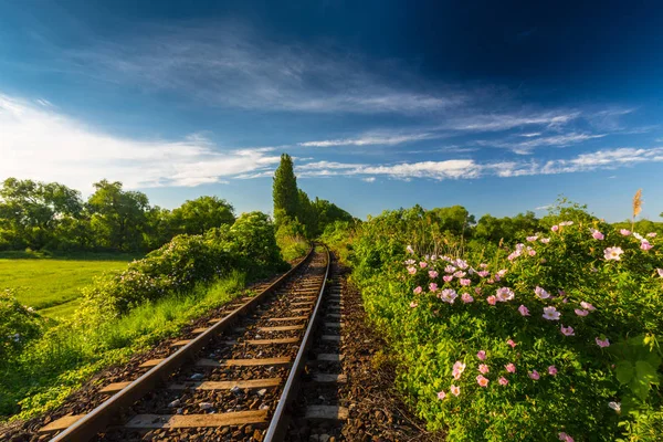 Vecchia Ferrovia Nella Remota Area Dell Europa Orientale Primavera — Foto Stock