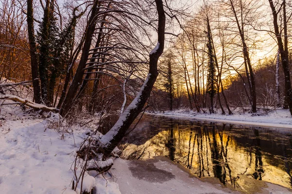 Winter Landschap Met Deksel Van Verse Sneeuw Een Afgelegen Plattelandsgebied — Stockfoto