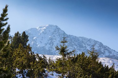 Beautiful winter scenery on a sunny day in the Transylvanian Alps