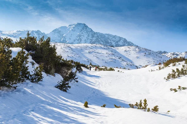 Beautiful Winter Scenery Sunny Day Transylvanian Alps — Photo