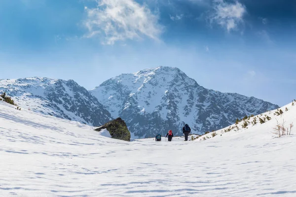 Beautiful Winter Scenery Sunny Day Transylvanian Alps — Foto de Stock