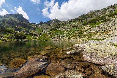 Güzel alp sahne Romen Alpleri'nde bahar