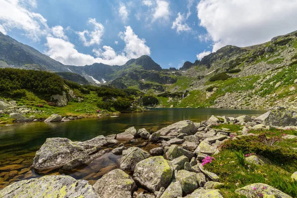 美丽的高山风光在罗马尼亚阿尔卑斯山 在春天 — 图库照片