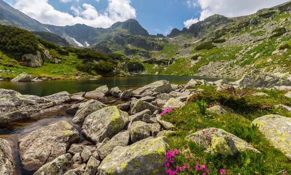 Hermoso Paisaje Alpino Los Alpes Rumanos Primavera — Foto de Stock