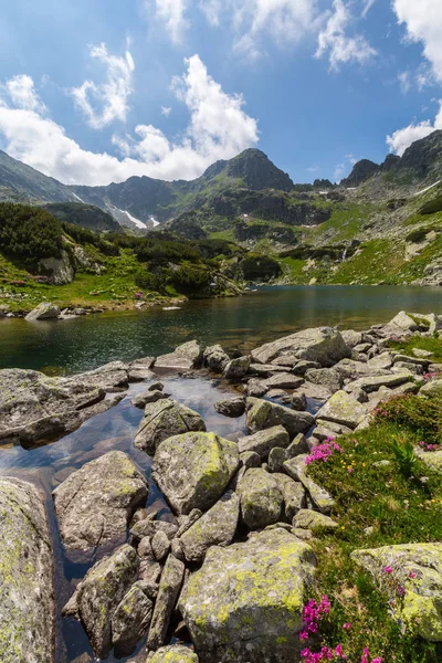 Güzel Alp Sahne Romen Alpleri Nde Bahar — Stok fotoğraf