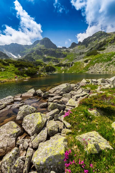 Schöne Alpine Landschaft Den Rumänischen Alpen Frühling — Stockfoto