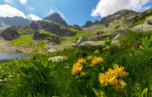 美丽的高山风光在罗马尼亚阿尔卑斯山 在春天 — 图库照片