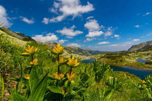 Bellissimo Scenario Alpino Nelle Alpi Rumene Primavera — Foto Stock