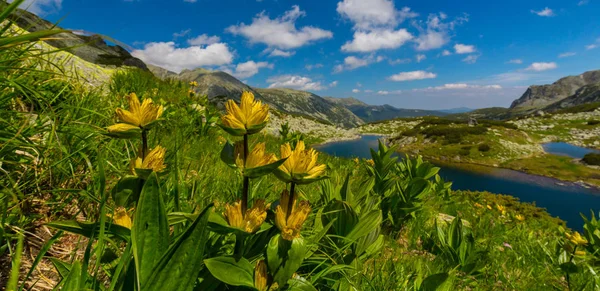 Schöne Alpine Landschaft Den Rumänischen Alpen Frühling — Stockfoto