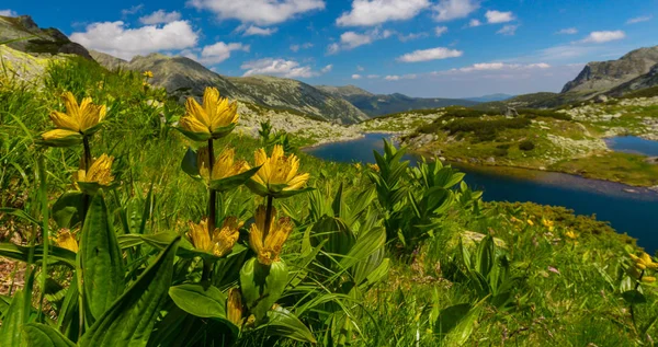 Krásné Horské Scenérie Rumunské Alpách Jaře — Stock fotografie