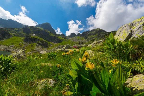 美丽的高山风光在罗马尼亚阿尔卑斯山 在春天 — 图库照片