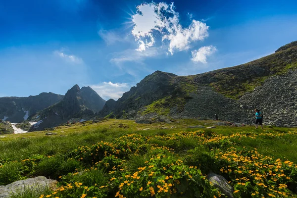 Beautiful Alpine Scenery Romanian Alps Spring — Stock Photo, Image