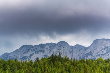 Sis bulutları ile yaz aylarında Transilvanya Alpleri'nde dağ manzarası