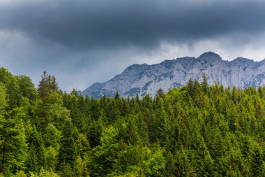 Sis bulutları ile yaz aylarında Transilvanya Alpleri'nde dağ manzarası