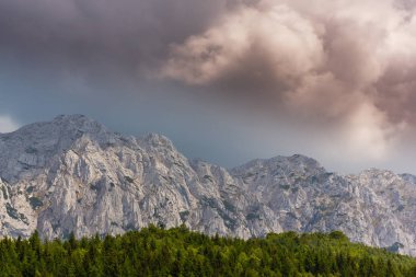 Sis bulutları ile yaz aylarında Transilvanya Alpleri'nde dağ manzarası