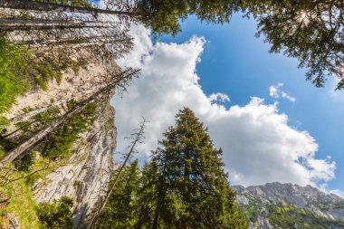 Sis bulutları ile yaz aylarında Transilvanya Alpleri'nde dağ manzarası