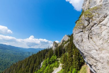 Sis bulutları ile yaz aylarında Transilvanya Alpleri'nde dağ manzarası