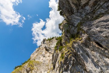 Sis bulutları ile yaz aylarında Transilvanya Alpleri'nde dağ manzarası
