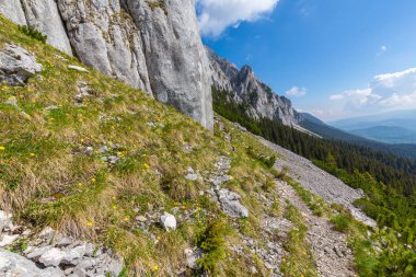 Sis bulutları ile yaz aylarında Transilvanya Alpleri'nde dağ manzarası