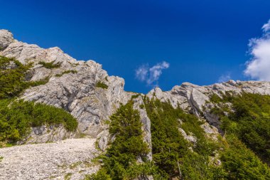 Sis bulutları ile yaz aylarında Transilvanya Alpleri'nde dağ manzarası